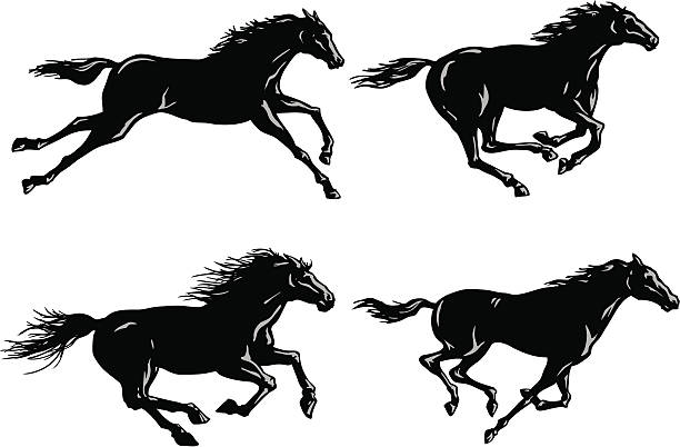 Silhouettes de chevaux de course - Illustration vectorielle