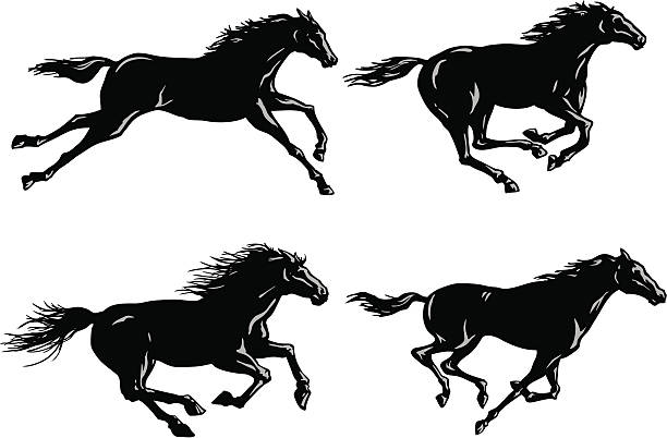 Bекторная иллюстрация Силуэты лошадей бега