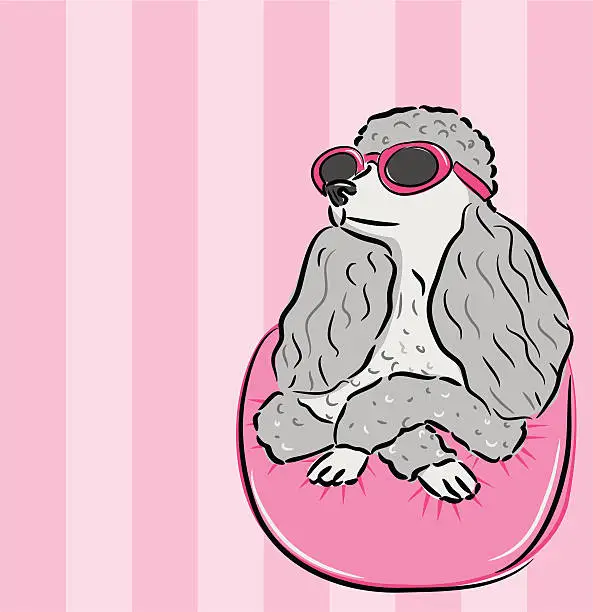 Vector illustration of Movie Star Poodle Posing - Illustration