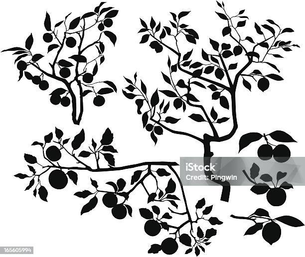 Набор Ветки С Фруктами — стоковая векторная графика и другие изображения на тему Ветвь - часть растения - Ветвь - часть растения, Яблоня, Дерево