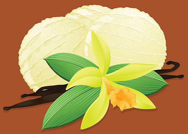 kuvapankkikuvitukset aiheesta vaniljajäätelö - yellow vanilla flower with green leaves