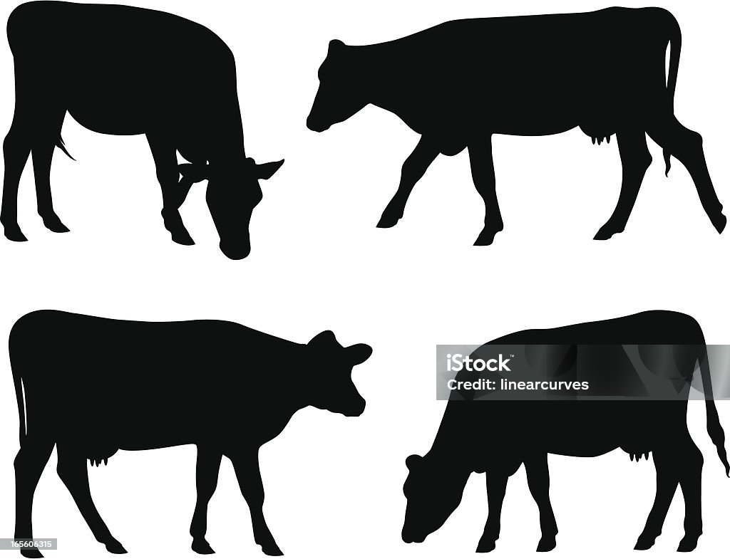 Cow silhouettes Cow silhouettes. Domestic Cattle stock vector