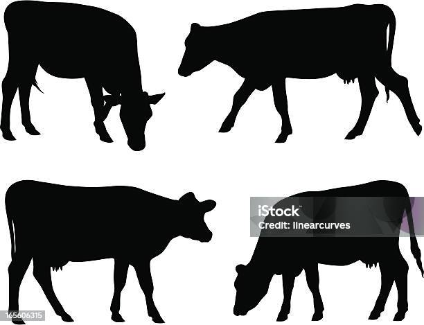 Cow Silhouettes Stock Illustration - Download Image Now - Domestic Cattle, Cow, Vector