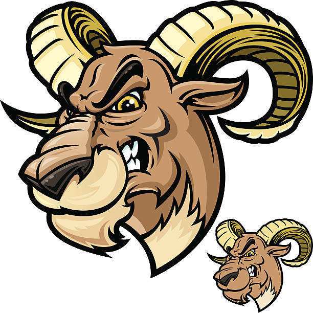 Ram Head Vicious Stock Illustration - Download Image Now - Ram - Animal,  Horned, Mascot - iStock