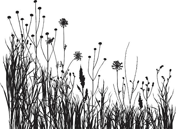 夏 meadow 1 - grass prairie silhouette meadow点のイラスト素材／クリップアート素材／マンガ素材／アイコン素材