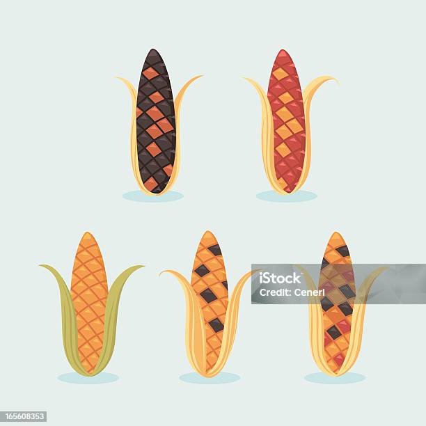 Maïs Indien Vecteurs libres de droits et plus d'images vectorielles de Aliment - Aliment, Aliments et boissons, Automne