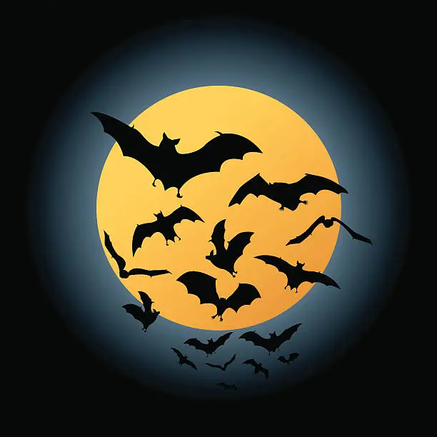 Vector illustration of Bat Flight