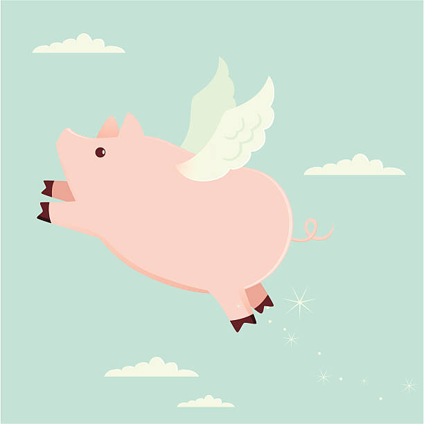 ilustrações, clipart, desenhos animados e ícones de pigs might fly - when pigs fly