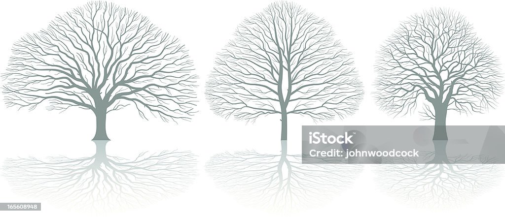 Drei Bäume - Lizenzfrei Ast - Pflanzenbestandteil Vektorgrafik