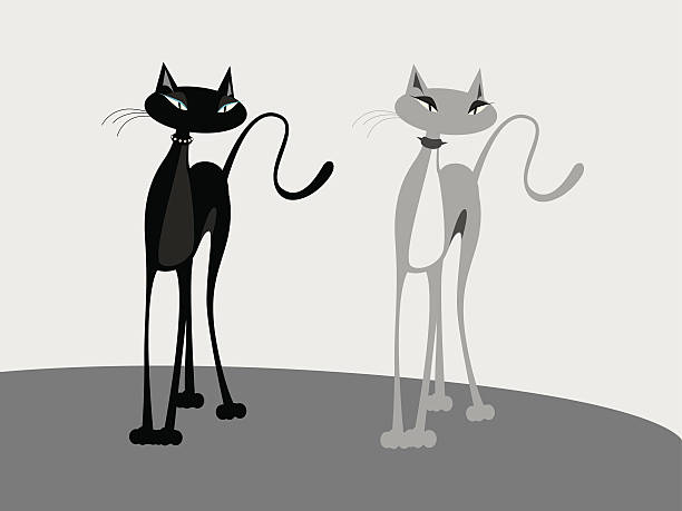 Black_and_white_kittens - ilustración de arte vectorial