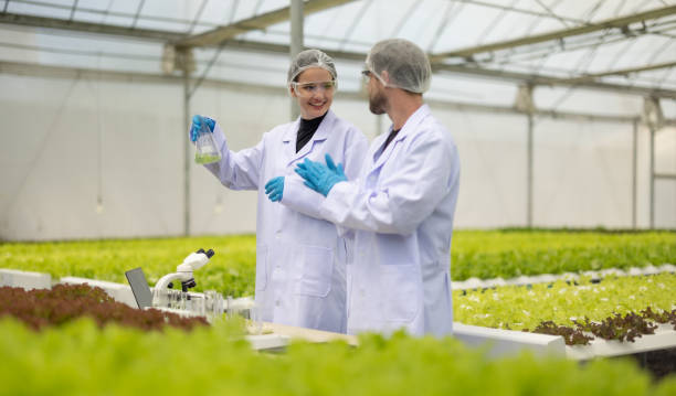 istock Hydroponic scientists assess solutions in flask, promoting sustainable growth with optimal nutrient 1656091374