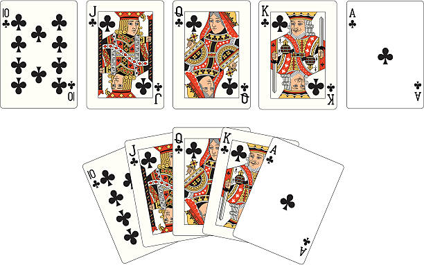 Club Suit Two Royal Flush playing cards vector art illustration