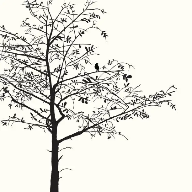 Vector illustration of Tree Branches