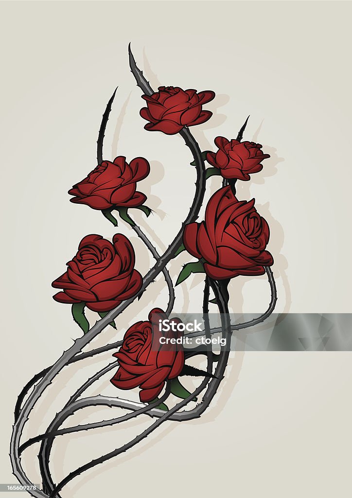 Rosas. - arte vectorial de Rosa - Flor libre de derechos