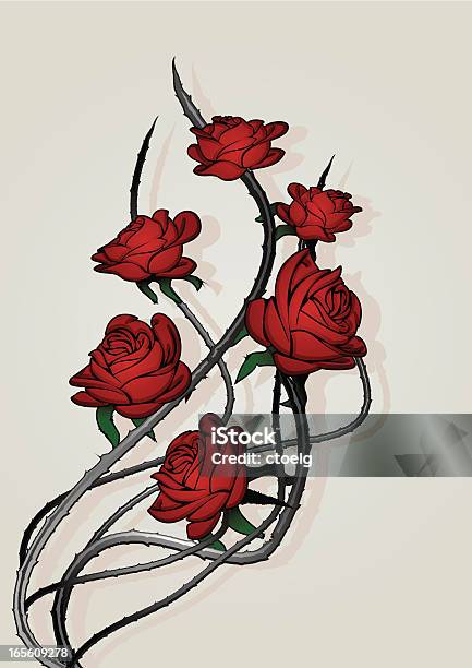 Ilustración de Rosas y más Vectores Libres de Derechos de Rosa - Flor - Rosa - Flor, Espina - Parte de una planta, Espino