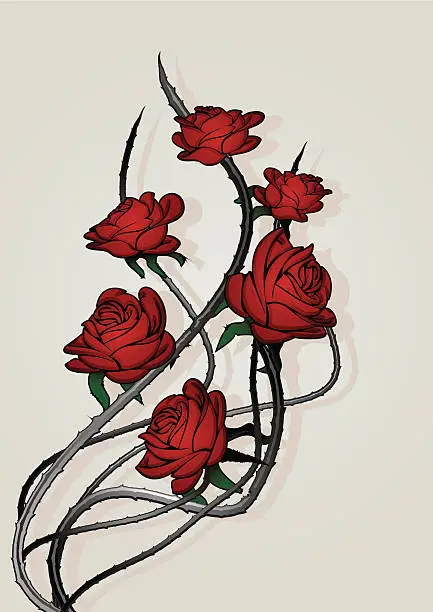 Vector illustration of Roses