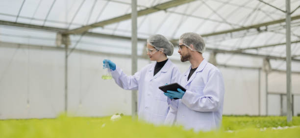 istock Hydroponic scientists assess solutions in flask, promoting sustainable growth with optimal nutrient 1656093095