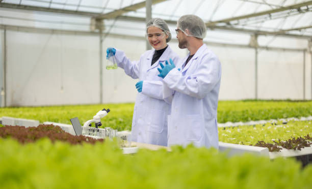 istock Hydroponic scientists assess solutions in flask, promoting sustainable growth with optimal nutrient 1656093100