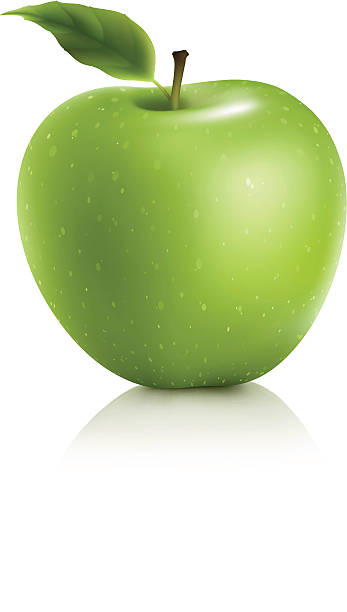 그래니스미스 버처 사과나무 - granny smith apple 이미지 stock illustrations