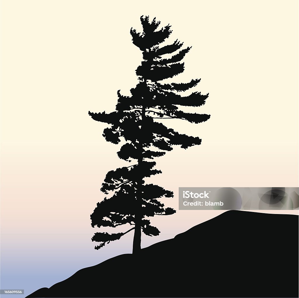 Albero di pino Silhouette - arte vettoriale royalty-free di Albero