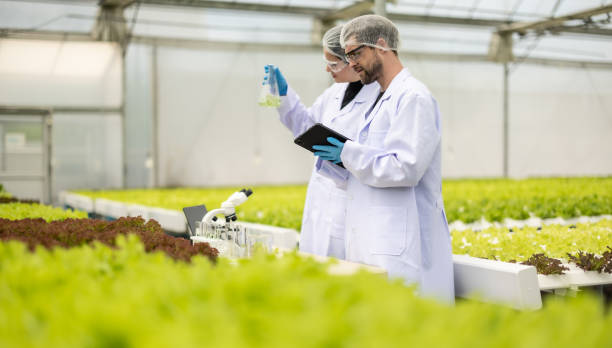 hydroponik-wissenschaftler bewerten lösungen in kolben, um ein nachhaltiges wachstum mit optimalem nährstoffgehalt zu fördern - agriculture greenhouse research science stock-fotos und bilder