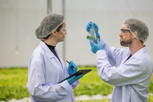 Hydroponic scientists meticulous analyze sample solutions in cylindrical flasks. Ensuring sustainable growth and optimal nutrient concentration, leading to the cultivation of great farming purposes.