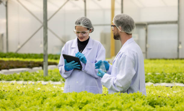istock Hydroponic scientists assess solutions in flask, promoting sustainable growth with optimal nutrient 1656100832