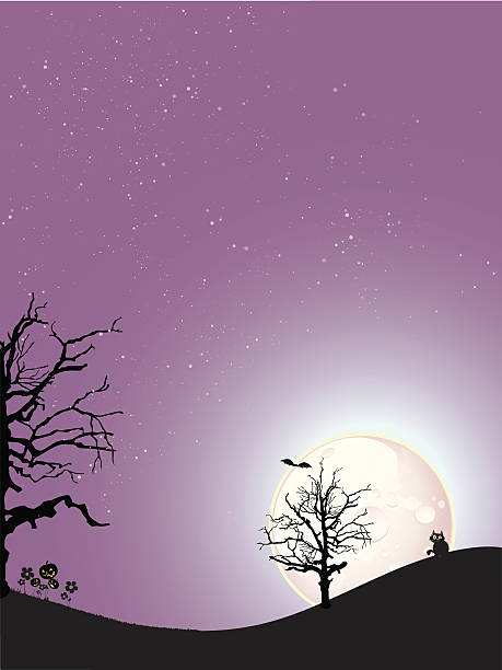 Chat à un violet nuit - Illustration vectorielle
