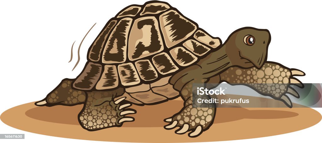 Tortoise Walk Tortoise walking. part of a series on animals Aesop - Writer stock vector