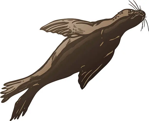 Vector illustration of Seal