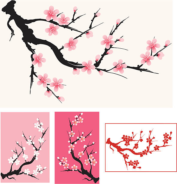 매화 - single flower flower spring apple tree stock illustrations