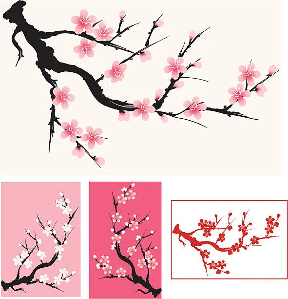 Vector illustration of plum blossom