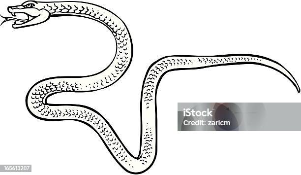 Serpente - Immagini vettoriali stock e altre immagini di Animale - Animale, Bianco e nero, Illustrazione
