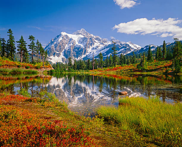 Mount Shuksan, Picture Lake, snowcapped mountain, autumn colored brush North Cascades National Park, Mt. Shuksan and Picture Lake in the fall picture lake stock pictures, royalty-free photos & images