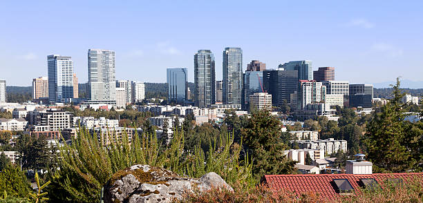 istock City of Bellevue in Washington State 165614975