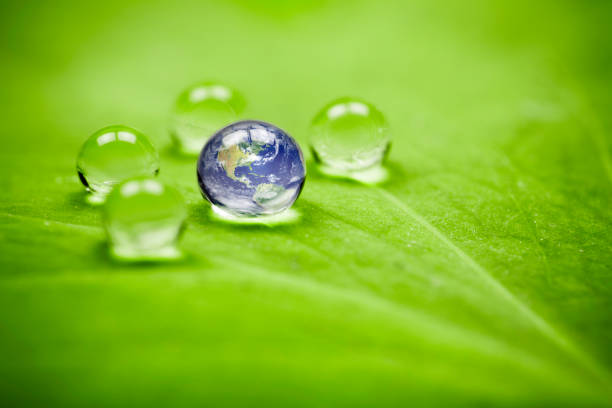 istock Planet earth waterdrop leaf. america Water Green Drop Globe Environment 165615628