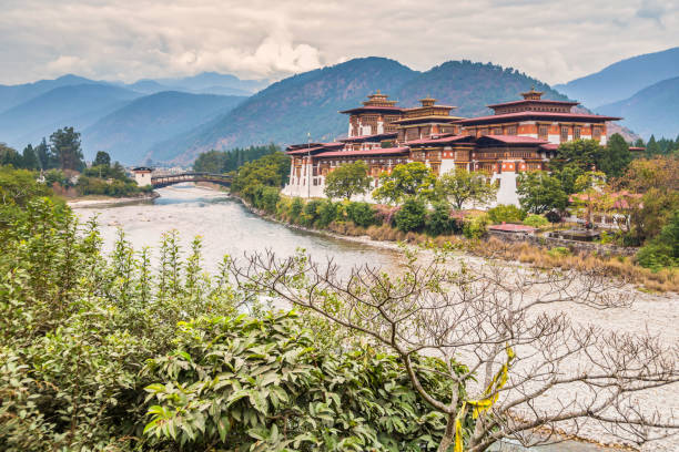 istock Punakha Dzong also known as Pungthang Dewa chhenbi Phodrang 1656165087