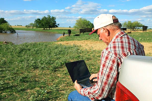 landwirtschaft: farmer oder rancher in feld mit computer, rind, pond - farmer rural scene laptop computer stock-fotos und bilder