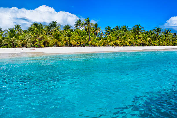 istock Lonely tropical island in the Caribbean 165617096