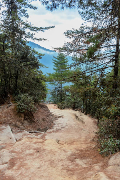 istock Taktsang Tiger Nest mountain landscape view 1656176292