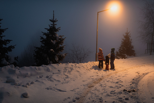 Winter portrait of a beautiful little boy and girls looking away at the mountain. They are having night walk.