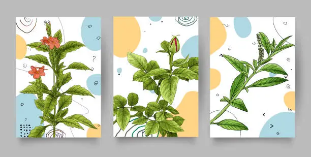 Vector illustration of Botanical wall art vector set. Golden foliage line art drawing with watercolor. Abstract Plant Art design for wall framed prints, canvas prints, poster, home décor, cover, wallpaper.