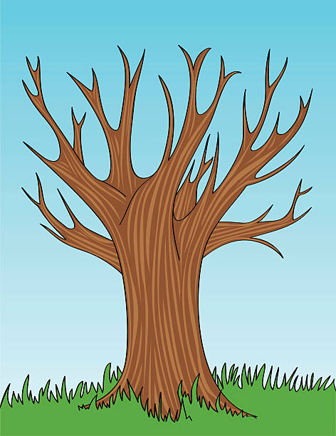 Bare Tree vector art illustration