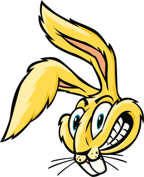 jack rabbit - buckteeth stock illustrations