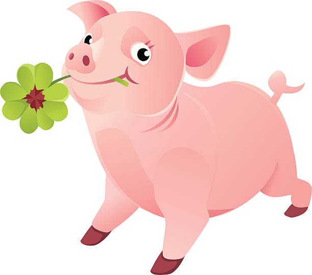 Bonne chance de porc avec un Trèfle à quatre feuilles - Illustration vectorielle