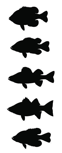 Sun Fish Series of Sun Fish silhouettes fish silhouettes stock illustrations