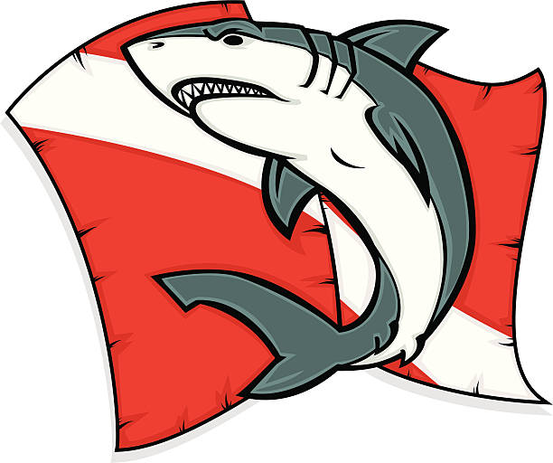 zanurkuj shark - fish sea life sea animals hunting stock illustrations