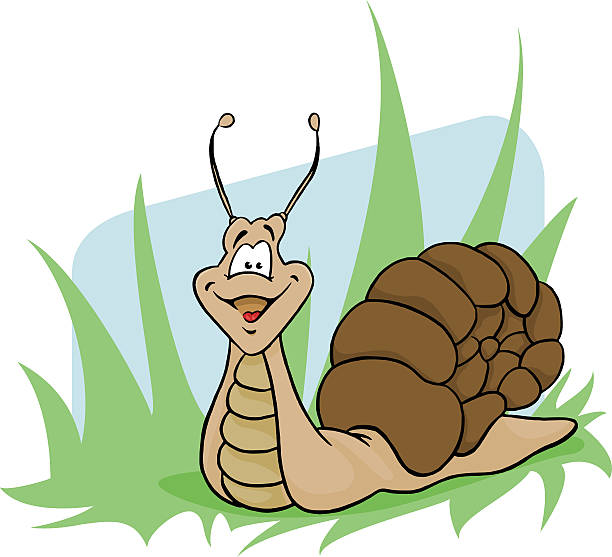 Funny snail vector art illustration