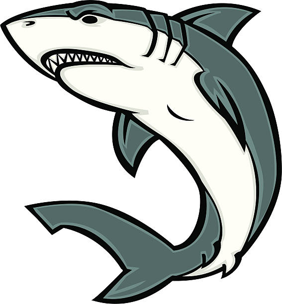 stockillustraties, clipart, cartoons en iconen met white shark - toy shark