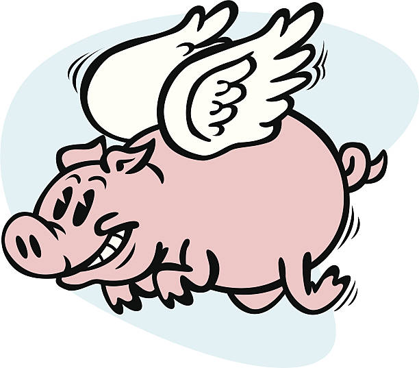 ilustrações, clipart, desenhos animados e ícones de voando porco - when pigs fly